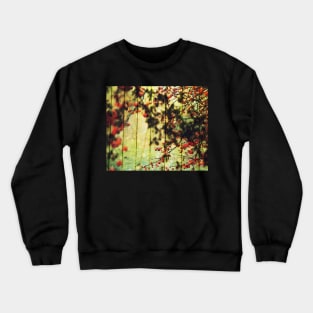 Wild Apples Summer Mood Crewneck Sweatshirt